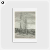 Poplars—Lake George - アルフレッド スティーグリッツ Postcard.