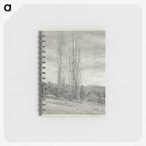 2-74_Alfred-Stieglitz_memo