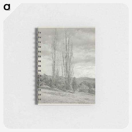 2-74_Alfred-Stieglitz_memo
