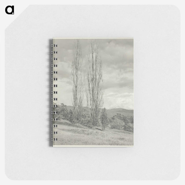 2-74_Alfred-Stieglitz_memo