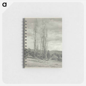 アートメモ帳-Poplars—Lake George - アルフレッド スティーグリッツ Memo.