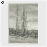 2-74_Alfred-Stieglitz_picture-crop