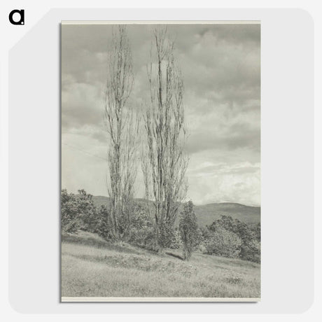 2-74_Alfred-Stieglitz_picture-crop