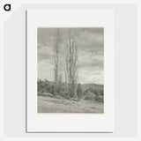 2-74_Alfred-Stieglitz_picture