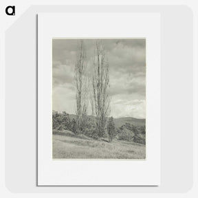 2-74_Alfred-Stieglitz_picture