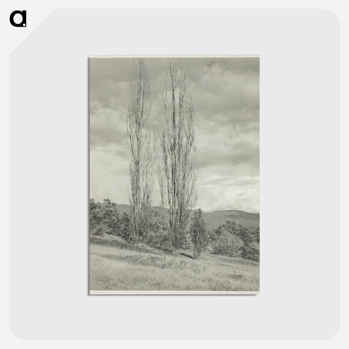 アートポストカード-Poplars—Lake George - アルフレッド スティーグリッツ Postcard.