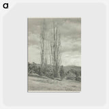 アートポストカード-Poplars—Lake George - アルフレッド スティーグリッツ Postcard.