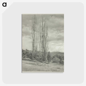 2-74_Alfred-Stieglitz_postcard