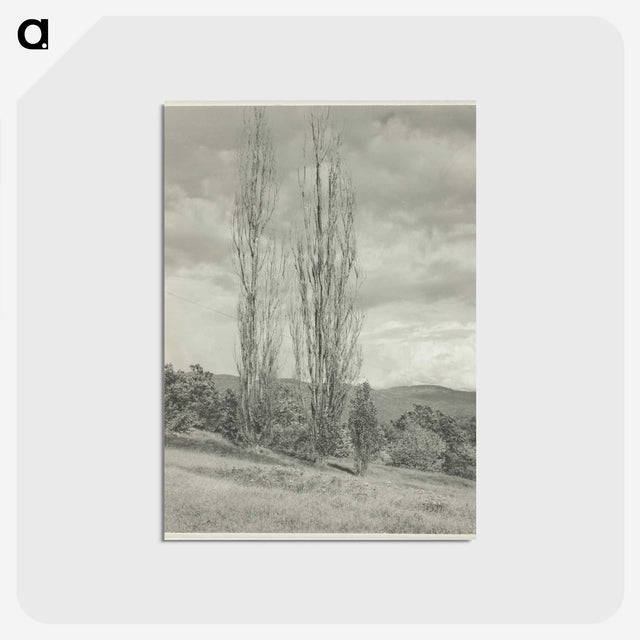 2-74_Alfred-Stieglitz_postcard