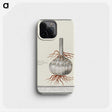 2-74_Anselmus-Boetius-de-Boodt_phone