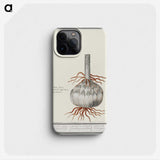 2-74_Anselmus-Boetius-de-Boodt_phone