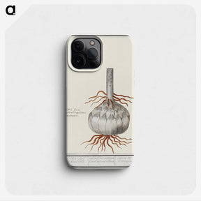 2-74_Anselmus-Boetius-de-Boodt_phone