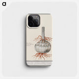 Globe of the red lily - アンセルムス ボエティウス デ ブート Phone Case.