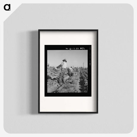 2-74_Dorothea-Lange_blk