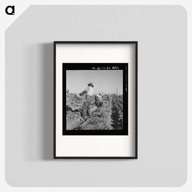 2-74_Dorothea-Lange_blk