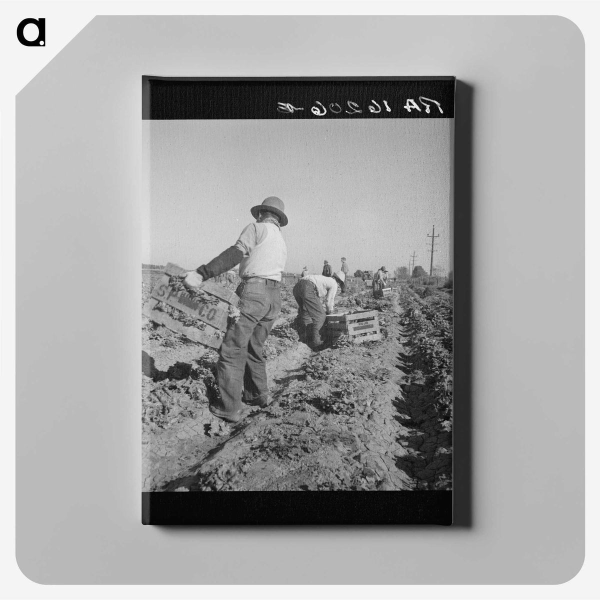 2-74_Dorothea-Lange_canvas
