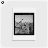 2-74_Dorothea-Lange_hagaki