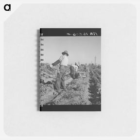アートメモ帳-Lettuce Cutting Crew - ドロテア ラング Memo.