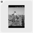 2-74_Dorothea-Lange_postcard