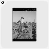 2-74_Dorothea-Lange_postcard