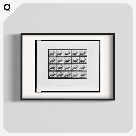 2-74_Eadweard-Muybridge_blk