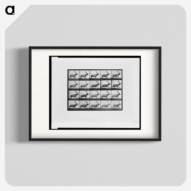 2-74_Eadweard-Muybridge_blk