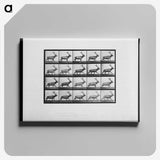 2-74_Eadweard-Muybridge_canvas