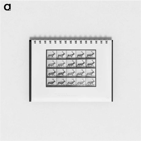 アートメモ帳-Animal Locomotion
 - エドワード マイブリッジ Memo.