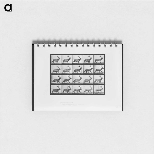 アートメモ帳-Animal Locomotion
 - エドワード マイブリッジ Memo.