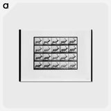 アートポストカード-Animal Locomotion
 - エドワード マイブリッジ Postcard.