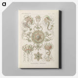 2-74_Ernst-Haeckel_canvas