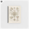2-74_Ernst-Haeckel_memo