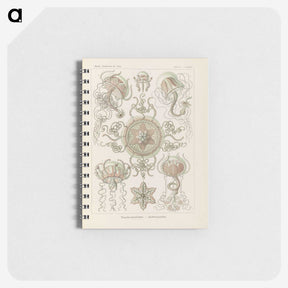 2-74_Ernst-Haeckel_memo