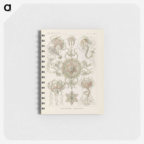 2-74_Ernst-Haeckel_memo