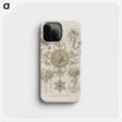 2-74_Ernst-Haeckel_phone
