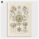 2-74_Ernst-Haeckel_picture-crop