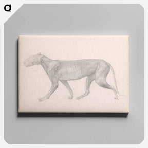 アートパネル-Tiger, Lateral View
 - ジョージ スタッブス Canvas.