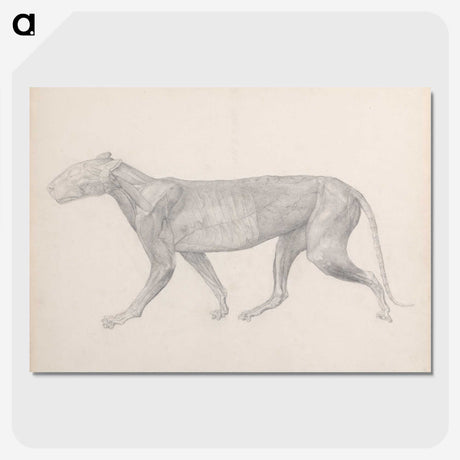 2-74_George-Stubbs_picture-crop
