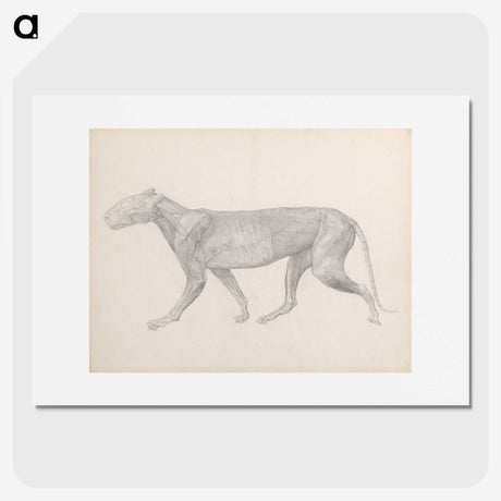 2-74_George-Stubbs_picture