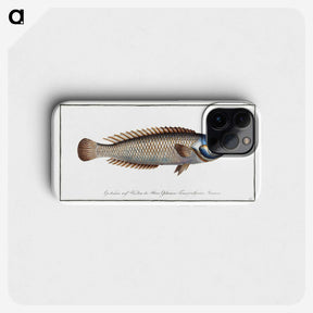 2-74_Ichtyologie-ou-Histoire-naturelle_phone