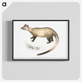 2-74_Indian-Zoology_blk-crop