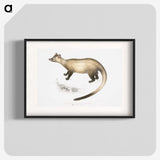 2-74_Indian-Zoology_blk