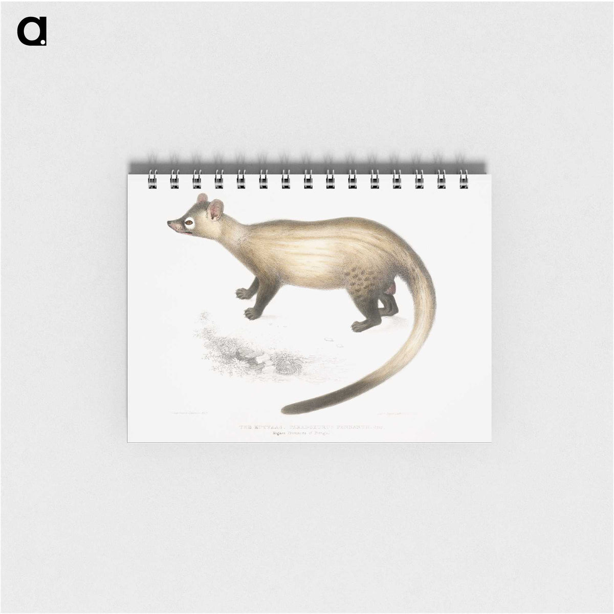 2-74_Indian-Zoology_memo