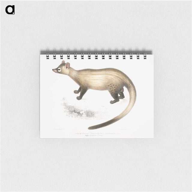 2-74_Indian-Zoology_memo