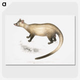 2-74_Indian-Zoology_picture-crop