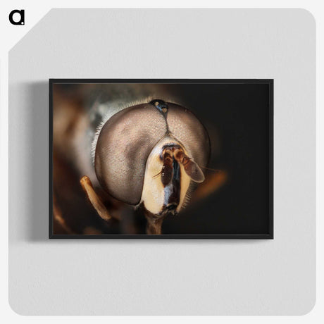 2-74_Insects-Unlocked-Project_blk-crop