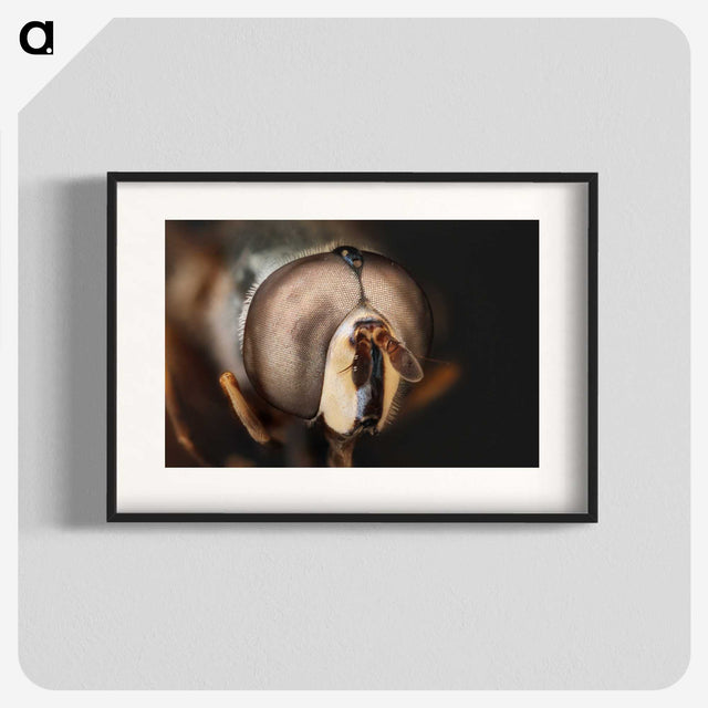 2-74_Insects-Unlocked-Project_blk