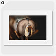 2-74_Insects-Unlocked-Project_picture