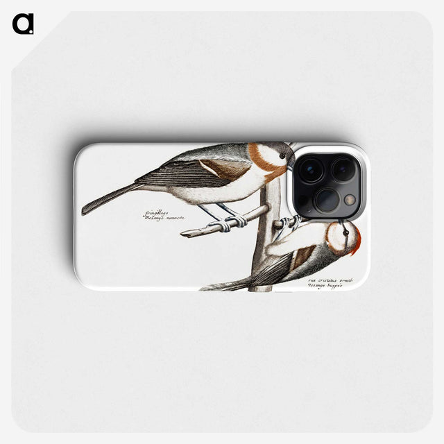 2-74_Johan-Teyler_phone