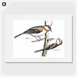 2-74_Johan-Teyler_picture